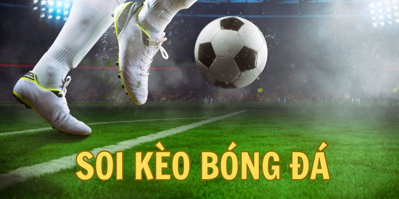 Soi kèo bóng đá là yếu tố quyết định đến tỷ lệ thành công